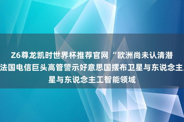 Z6尊龙凯时世界杯推荐官网 “欧洲尚未认清潜在风险”:法国电信巨头高管警示好意思国摆布卫星与东说念主工智能领域