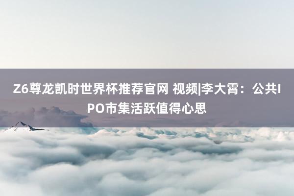 Z6尊龙凯时世界杯推荐官网 视频|李大霄：公共IPO市集活跃值得心思