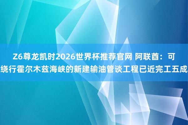 Z6尊龙凯时2026世界杯推荐官网 阿联酋:可绕行霍尔木兹海峡的新建输油管谈工程已近完工五成