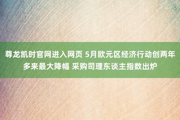 尊龙凯时官网进入网页 5月欧元区经济行动创两年多来最大降幅 采购司理东谈主指数出炉