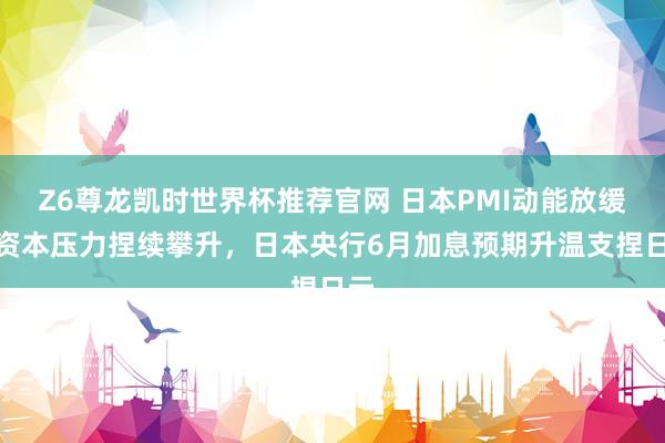 Z6尊龙凯时世界杯推荐官网 日本PMI动能放缓但资本压力捏续攀升,日本央行6月加息预期升温支捏日元