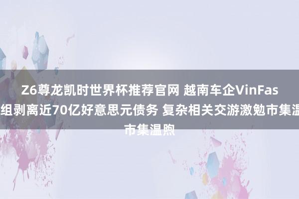 Z6尊龙凯时世界杯推荐官网 越南车企VinFast重组剥离近70亿好意思元债务 复杂相关交游激勉市集温煦