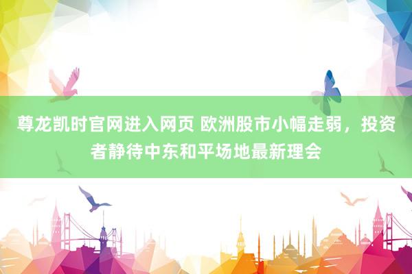 尊龙凯时官网进入网页 欧洲股市小幅走弱,投资者静待中东和平场地最新理会