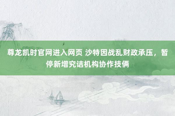 尊龙凯时官网进入网页 沙特因战乱财政承压,暂停新增究诘机构协作技俩