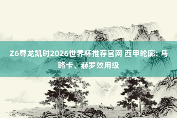 Z6尊龙凯时2026世界杯推荐官网 西甲轮廓: 马略卡、赫罗效用级