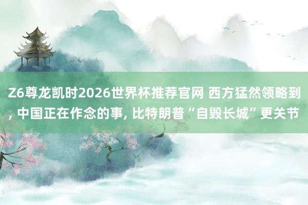 Z6尊龙凯时2026世界杯推荐官网 西方猛然领略到, 中国正在作念的事, 比特朗普“自毁长城”更关节