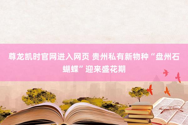 尊龙凯时官网进入网页 贵州私有新物种“盘州石蝴蝶”迎来盛花期