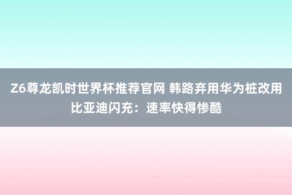 Z6尊龙凯时世界杯推荐官网 韩路弃用华为桩改用比亚迪闪充:速率快得惨酷