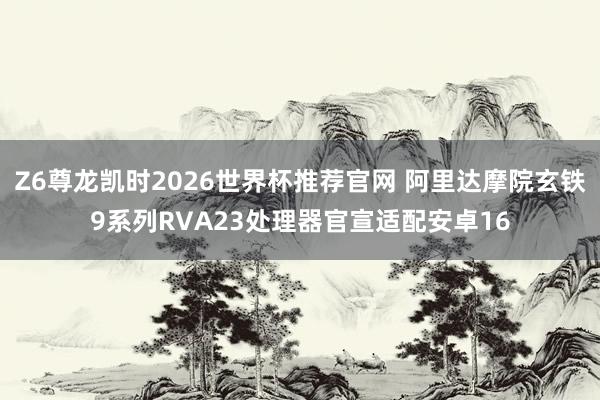 Z6尊龙凯时2026世界杯推荐官网 阿里达摩院玄铁9系列RVA23处理器官宣适配安卓16