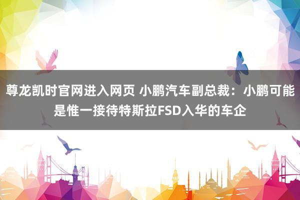 尊龙凯时官网进入网页 小鹏汽车副总裁:小鹏可能是惟一接待特斯拉FSD入华的车企