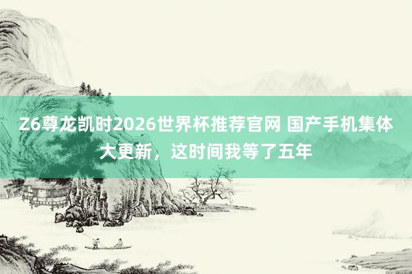 Z6尊龙凯时2026世界杯推荐官网 国产手机集体大更新,这时间我等了五年