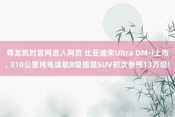尊龙凯时官网进入网页 比亚迪宋Ultra DM-i上市, 310公里纯电续航B级插混SUV初次参预13万级!