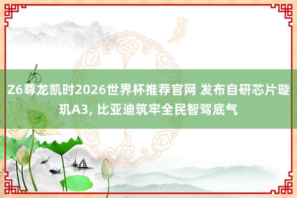 Z6尊龙凯时2026世界杯推荐官网 发布自研芯片璇玑A3， 比亚迪筑牢全民智驾底气