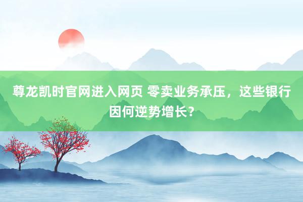 尊龙凯时官网进入网页 零卖业务承压,这些银行因何逆势增长?
