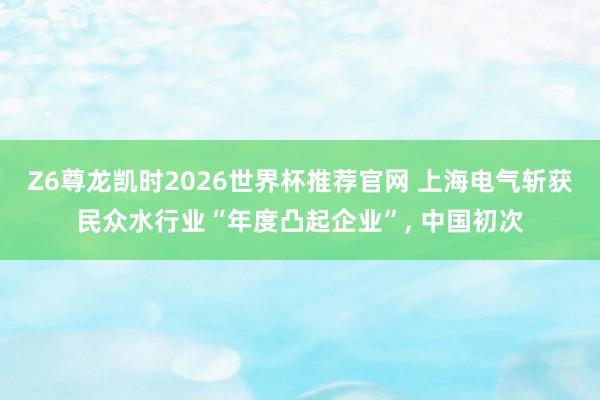 Z6尊龙凯时2026世界杯推荐官网 上海电气斩获民众水行业“年度凸起企业”, 中国初次