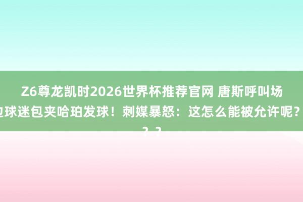 Z6尊龙凯时2026世界杯推荐官网 唐斯呼叫场边球迷包夹哈珀发球！刺媒暴怒：这怎么能被允许呢？？