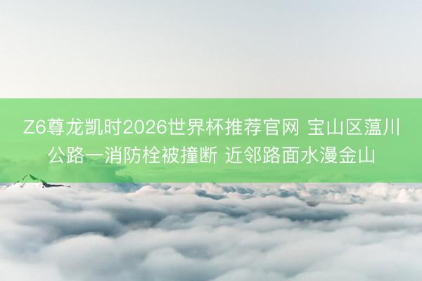 Z6尊龙凯时2026世界杯推荐官网 宝山区蕰川公路一消防栓被撞断 近邻路面水漫金山